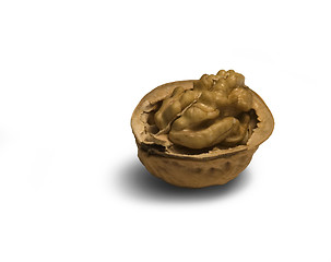 Image showing open walnut