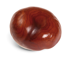 Image showing horse chestnut