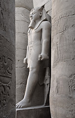 Image showing pharaonic statue at Luxor Temple in Egypt
