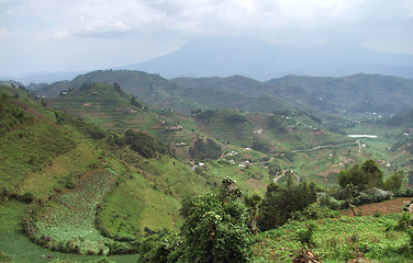 Image showing Virunga Mountains in stormy ambiance