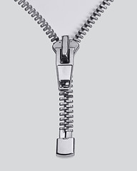 Image showing long zipper