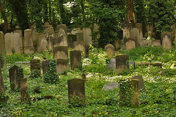 Image showing idyllic old graveyard in Berlin