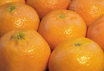 Image showing mandarin oranges