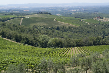 Image showing Chianti in Tuscany