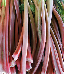 Image showing rhubarb background