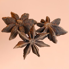 Image showing star-anise in light back