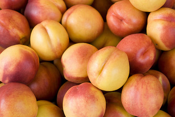 Image showing lots of fresh nectarines