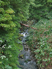 Image showing little stream