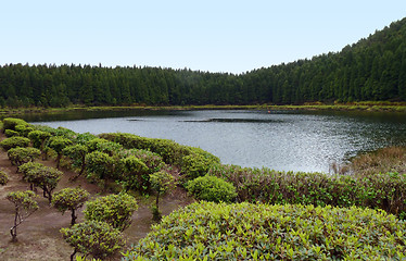 Image showing waterside scenery at the Azores