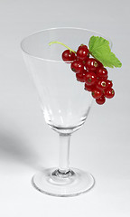 Image showing Redcurrant and glass