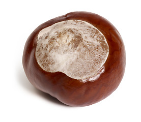 Image showing horse chestnut