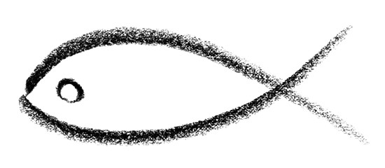 Image showing fish sketch