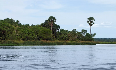 Image showing Victoria Nile scenery in Uganda