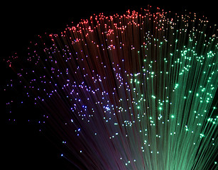 Image showing plastic optical fibers