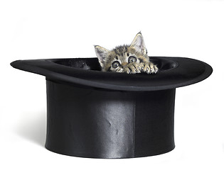 Image showing kitten hiding in top hat