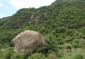 Image showing overgrown Rift Valley scenery