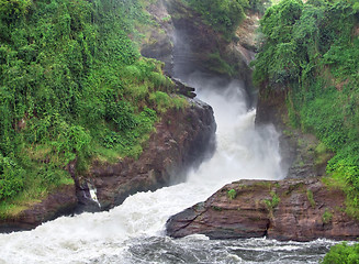 Image showing Murchison Falls whitewater scenery