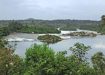 Image showing waterside River Nile scenery near Jinja in Africa