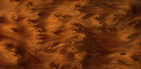 Image showing brown burl wood detail