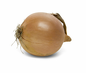 Image showing onion