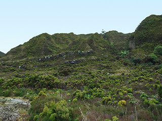 Image showing overgrown hills