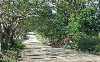 Image showing dusty country lane