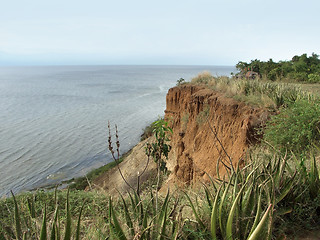 Image showing around Lake Albert in Uganda