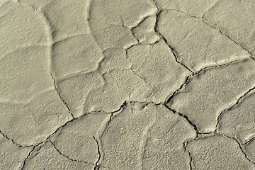 Image showing wet fissured mud