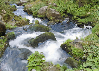 Image showing detail of the Triberg Waterfalls