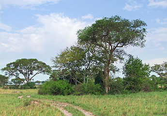 Image showing Queen Elizabeth National Park in Africa
