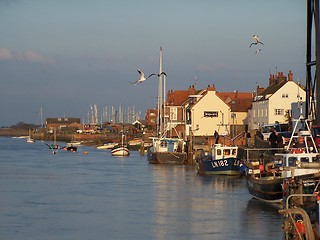 Image showing nice marina with boats and seagulls