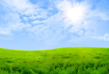 Image showing Green grass