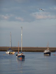 Image showing three boats and seagull