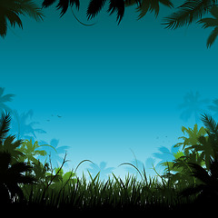 Image showing Jungle background