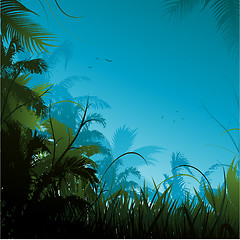 Image showing Jungle background