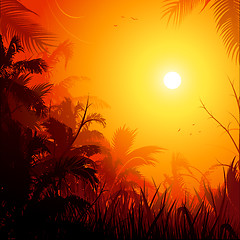 Image showing Jungle background