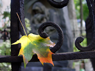 Image showing Autumn leaf at the cemetery