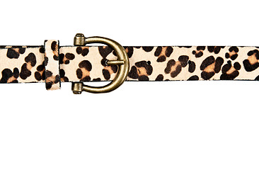 Image showing belt with leopard pattern