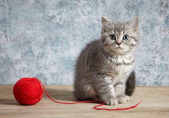 Image showing kitten and red thread ball