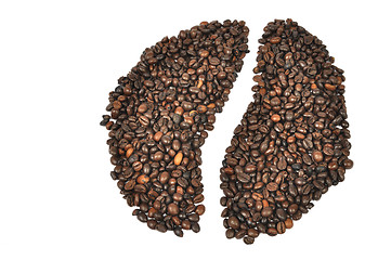 Image showing Coffee bean