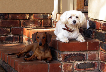 Image showing Guarding Together