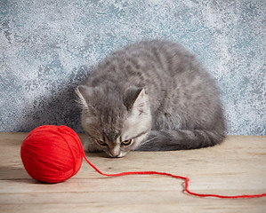 Image showing kitten and red thread ball