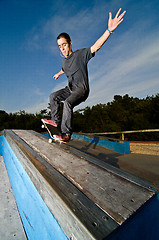 Image showing Skateboarder on a grind