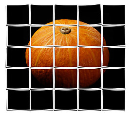 Image showing pumpkin