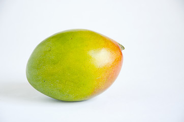 Image showing Mango. 