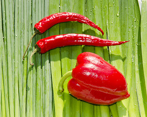 Image showing Slim and fat peppers.