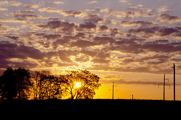 Image showing Sun hiding over the trees.