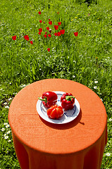 Image showing Red paprikas and tomato. Healthy food.