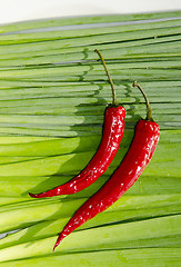 Image showing Slim red peppers.