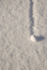 Image showing Snowball. 